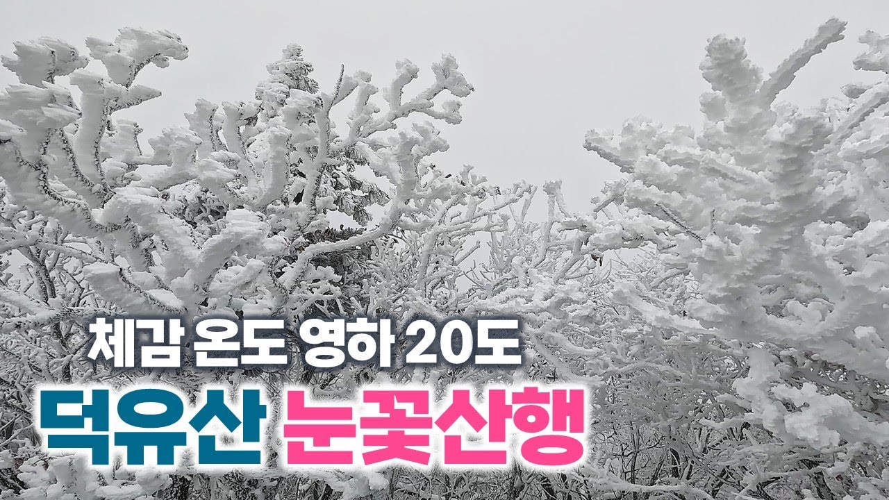 덕유산 눈꽃 산행 | 곤돌라 타고 가는 눈꽃 트레킹 | 상고대, 겨울왕국 | 무주 덕유산 리조트 | 설천봉, 향적봉, 향적봉 대피소 | 겨울산행, 여행