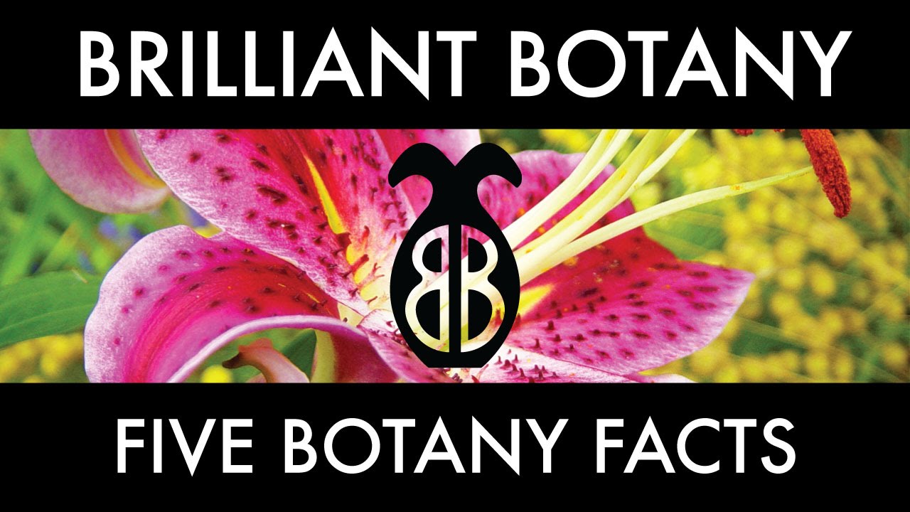 Five Botany Facts!