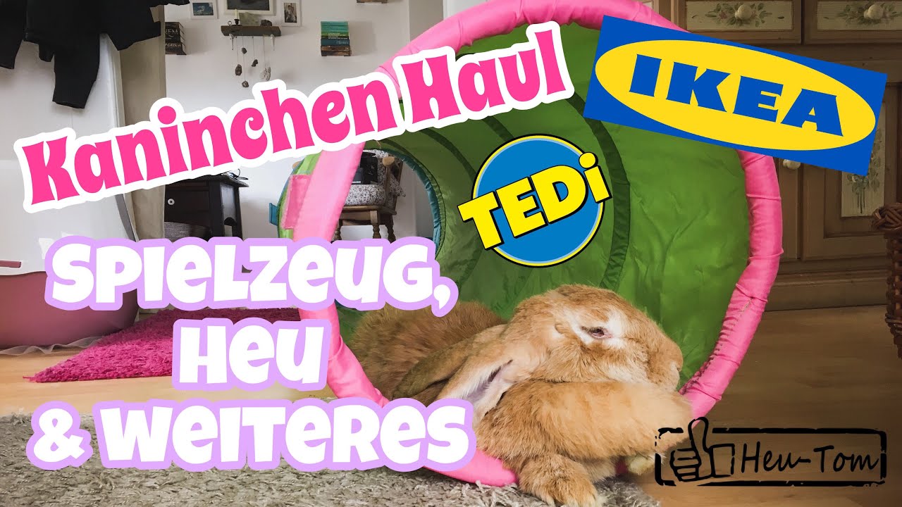 Spielzeug Heu & weiteres | Kaninchen Haul