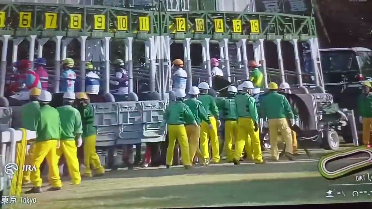 東京競馬　フェブラリーS