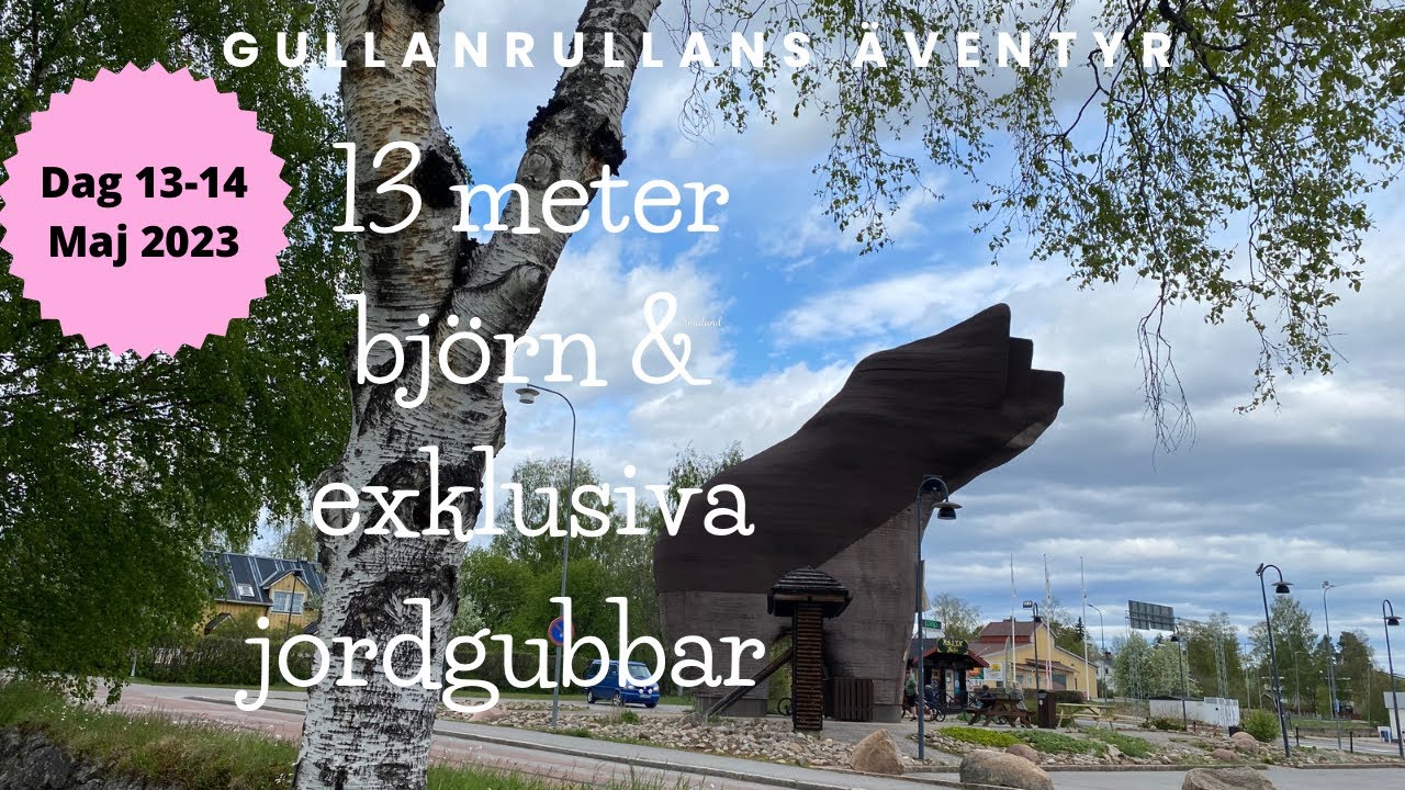Längs Ljusnan. Härjedalen