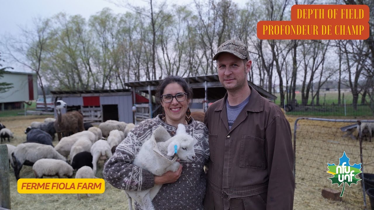 Ferme Fiola Farm - Depth of Field | Profondeur de champ