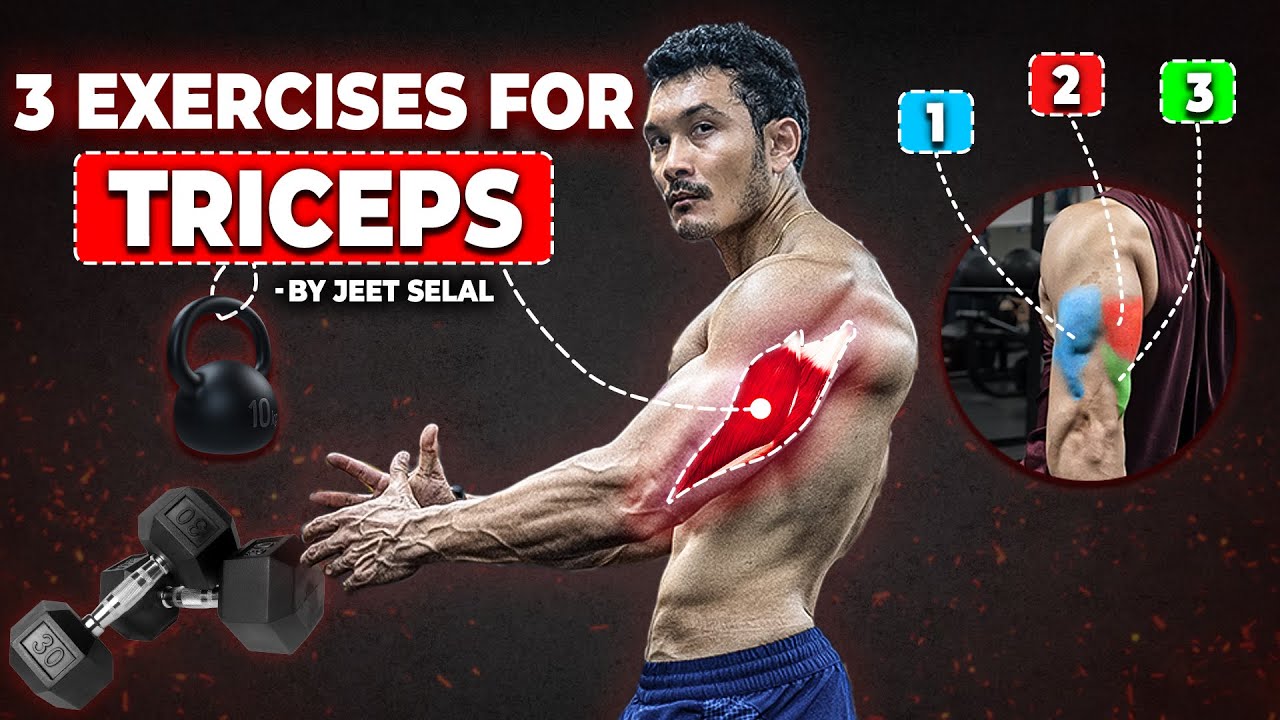 Target Your Triceps: 3 Effective Exercises You Need to Try! |#jeetselal #hsacademy