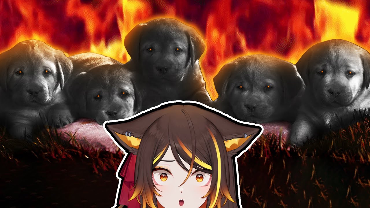 THE COUNCIL WON'T LEAVE ME ALONE