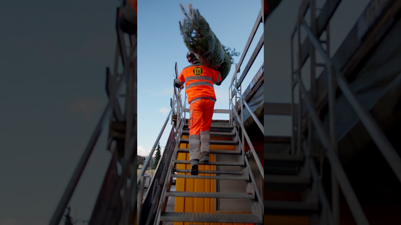 Baustelle + Tannenbaum = Stimmung! #baustelle #handwerk #bauen #weihnachten #shortsvideo #stimmung