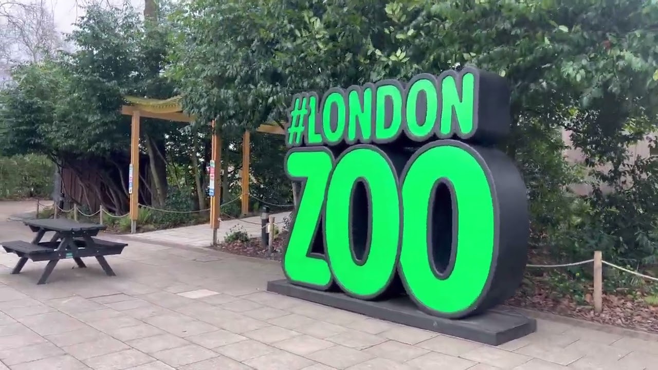 Explore with us: London Zoo! 2024