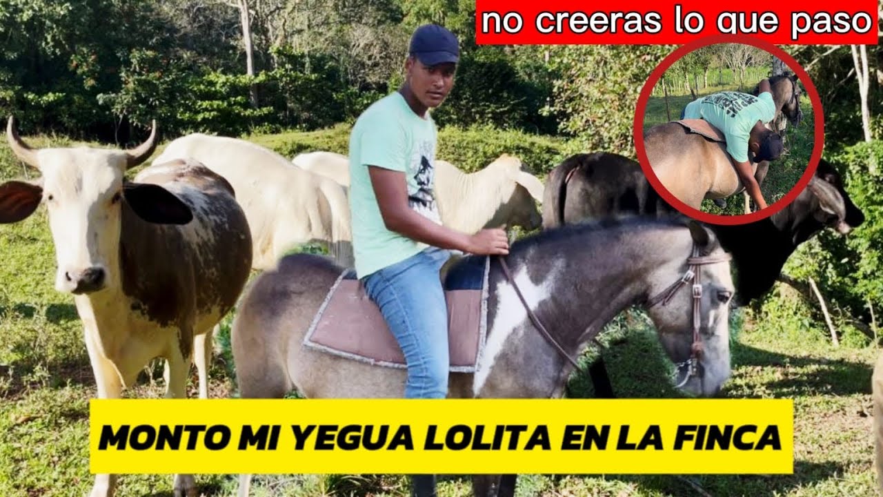 VUELVO A MONTAR MI YEGUA EN LA FINCA 🤠