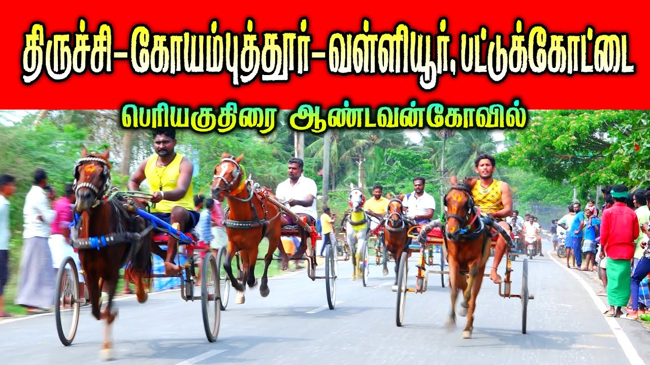 02-04-2023பெரியகுதிரை பேராவூரணி  { Periyakuthirai Thanjavur } PRD Perai Raj Digital