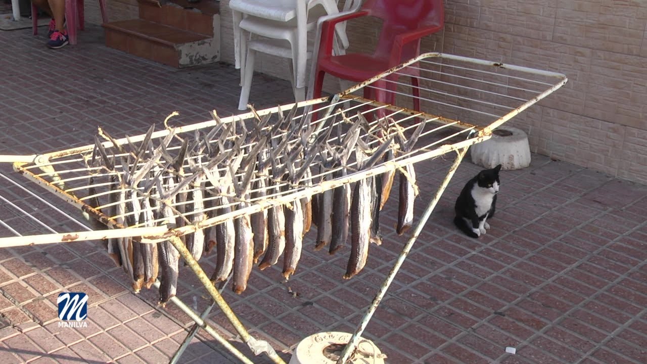 CONTINUA LA TRADICIÓN DE LOS VOLAORES