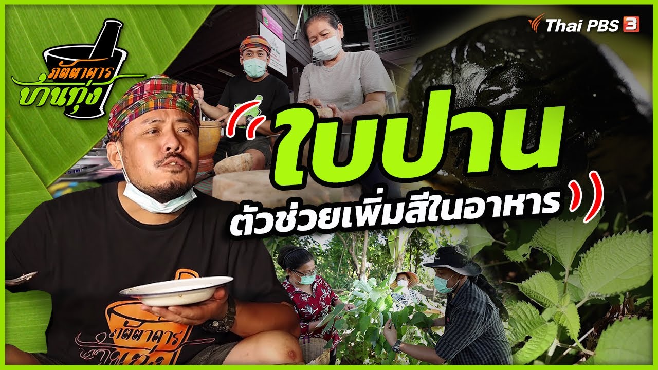 ใบป่าน | ภัตตาคารบ้านทุ่ง