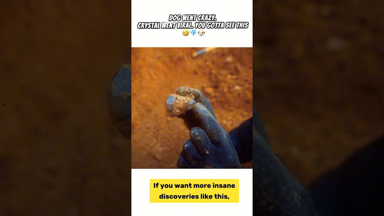 He Was Just Mining… Until a $100,000 Crystal Fell Out 😱💎 
