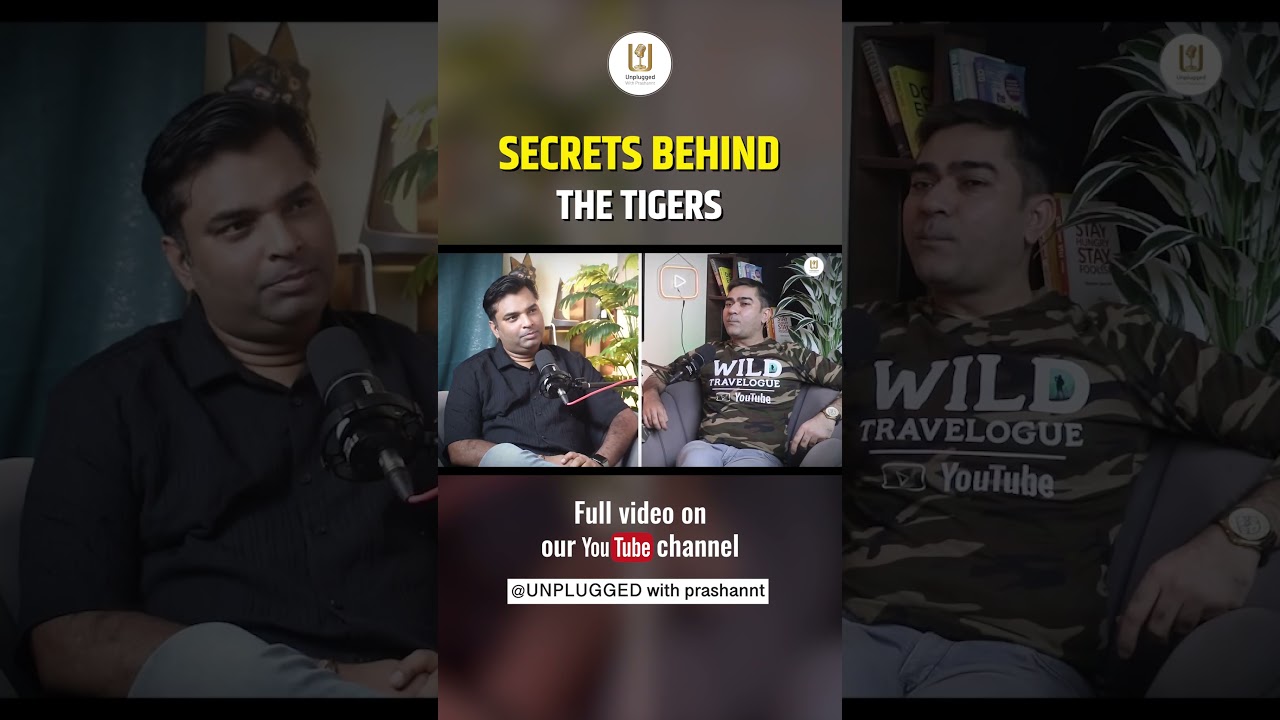 Tiger sighting at Bhopal just 10 km from railway station #wildlife #bhopal #tiger @WildTravelogue