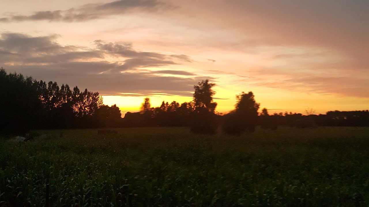 JASIU – transmisja na żywo
