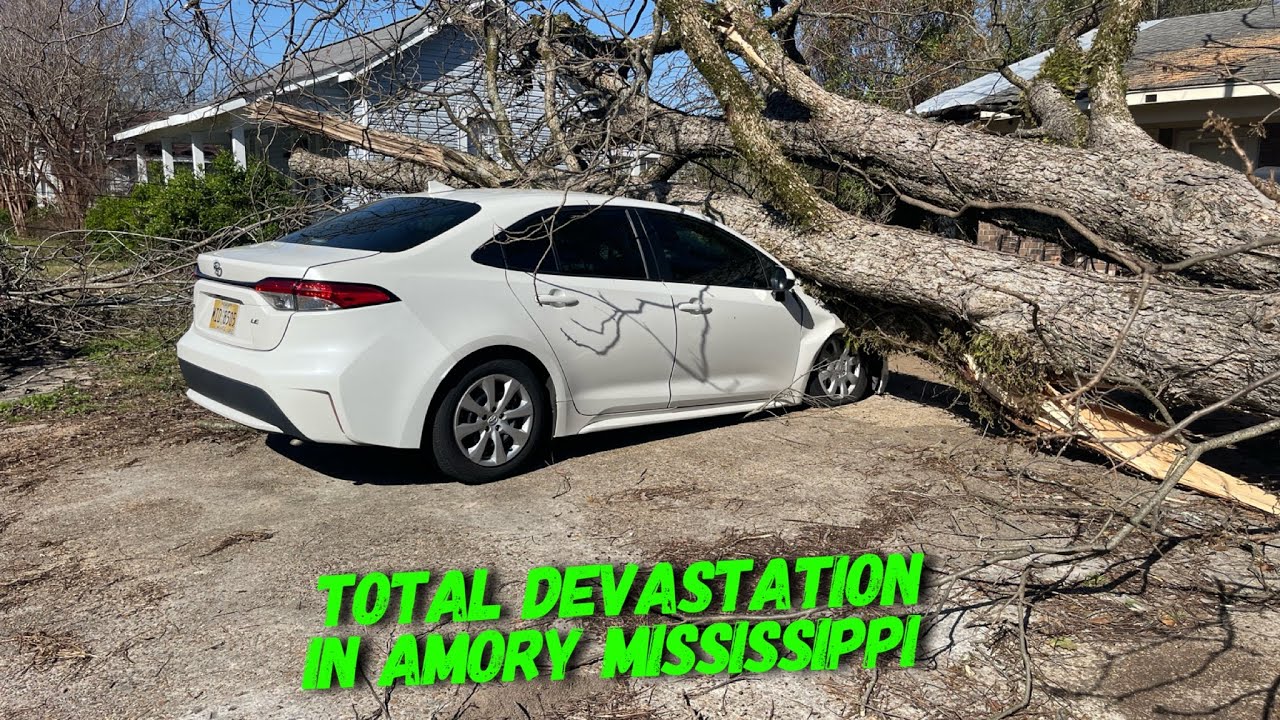Trees are on nearly every house | tornado cleanup