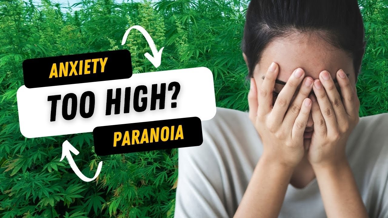 Too High?  Here are some tips to reduce anxiety and paranoia from too much THC!
