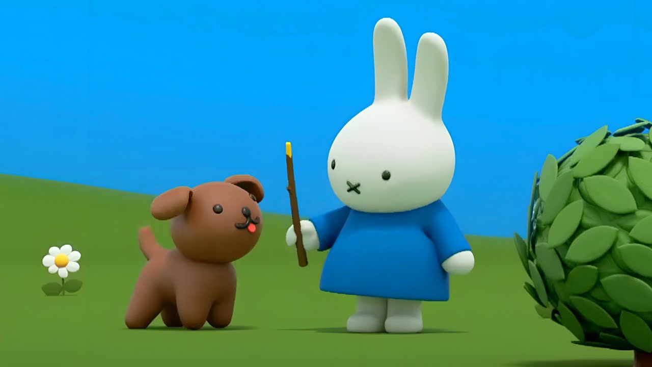 spelen met het hondje | nijntje's avonturen, groot en klein | show voor kinderen