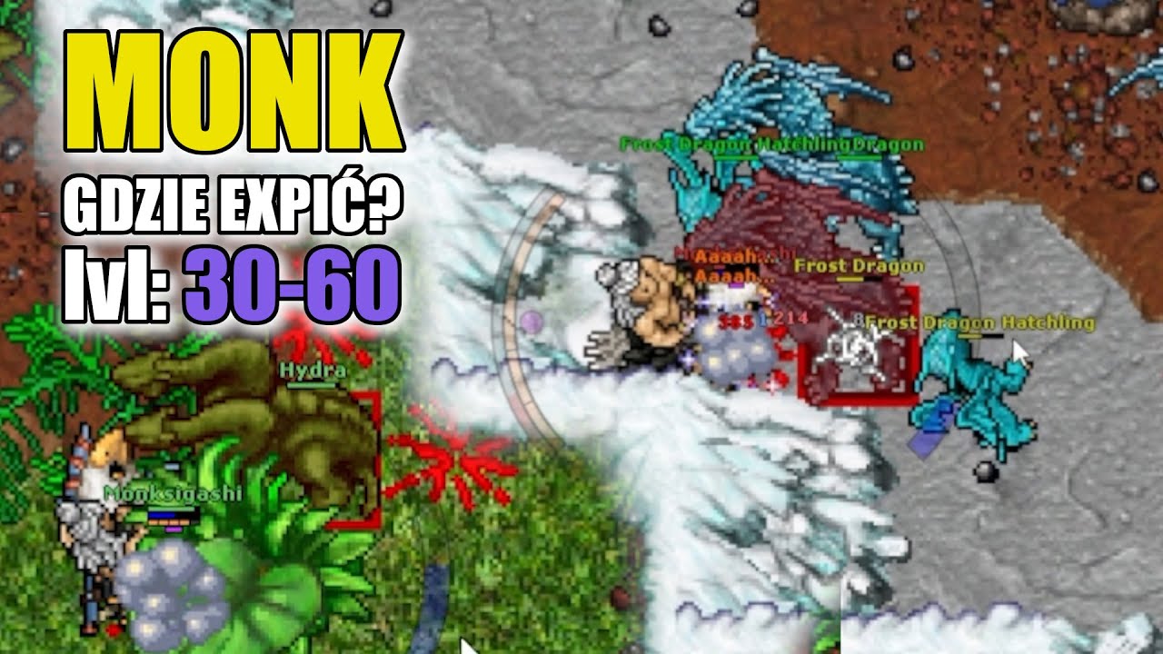 Frosty na 50 lvl? Łatwo... | Monk 30-60 lvl - Gdzie expić