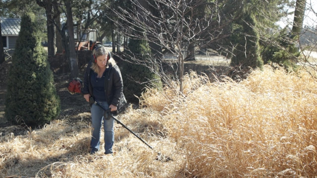 Early Spring Garden Tour + An Easy Way to Clean Up the Garden
