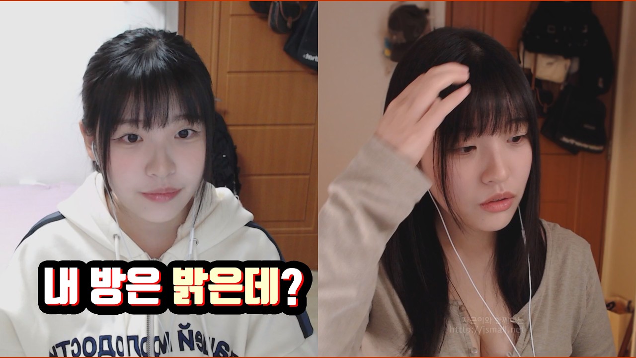 로지텍 스트림캠을 사용하시는데 화질이 이상하다고 합니다. - 치지직 수해님
