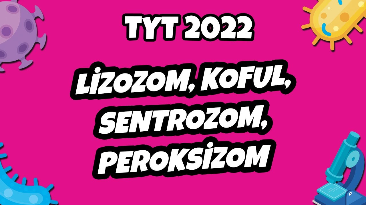 Lizozom, Koful, Sentrozom, Peroksizom | TYT Biyoloji 2022 #hedefekoş