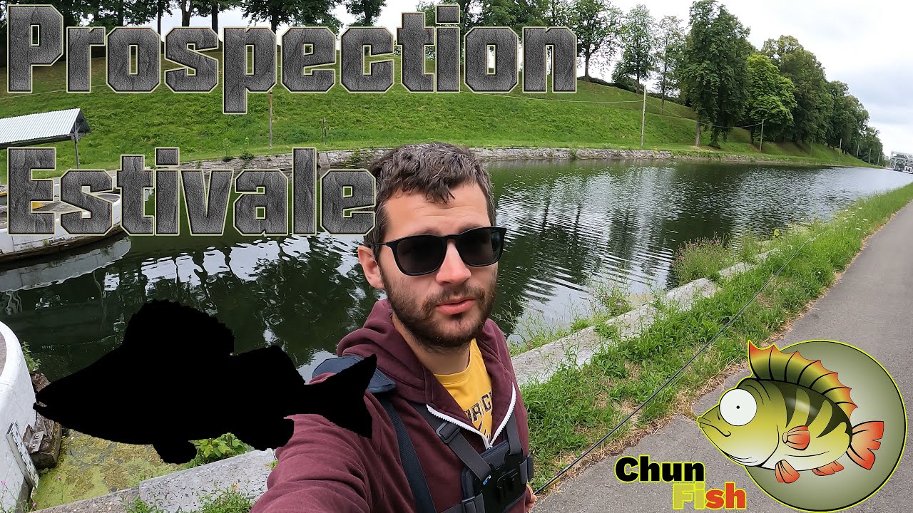 Ma logique de pêche 🤔🎣 Pour la PERCHE - Prospection ESTIVAL ☀🌤