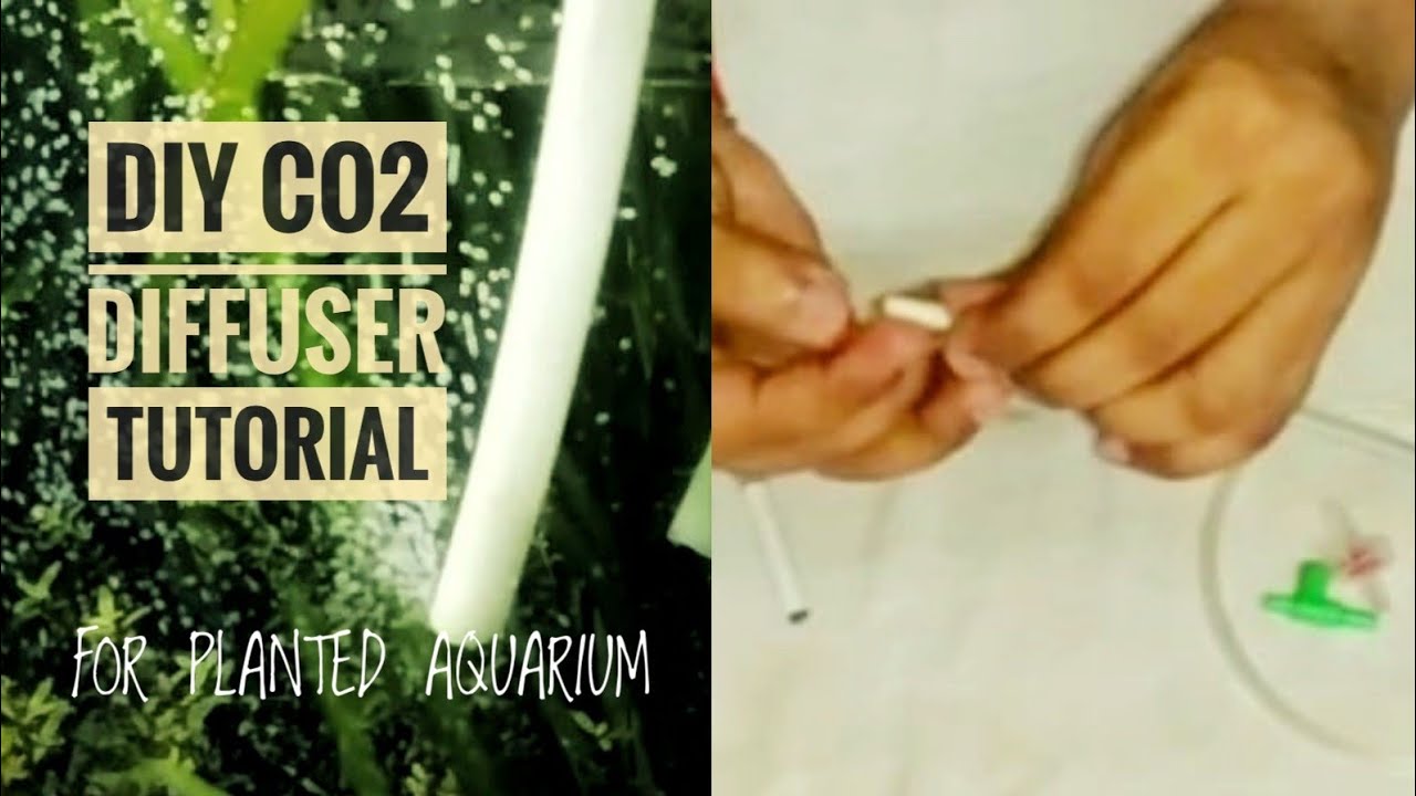 HOW TO MAKE CO2 DIFFUSER AT HOME FOR PLANTED TANK