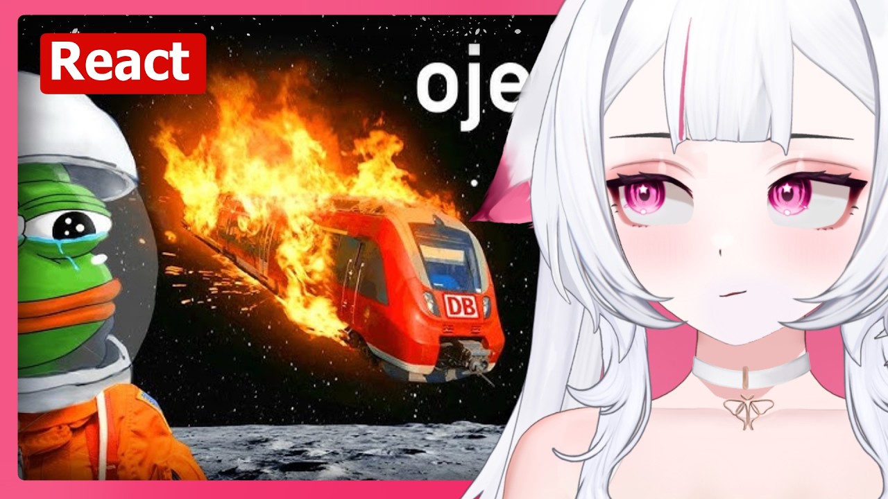 Ein Video über die Deutsche Bahn | Moki React