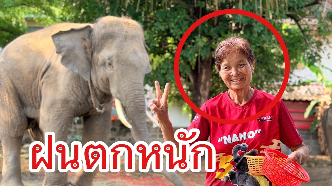 วันที่8😍