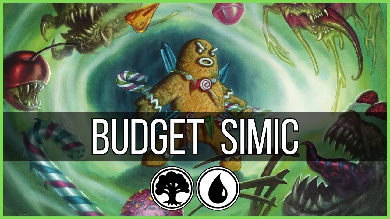 Budget Deck | Simic Food Block & Glyph | Standard Deck for Beginners | MTGA