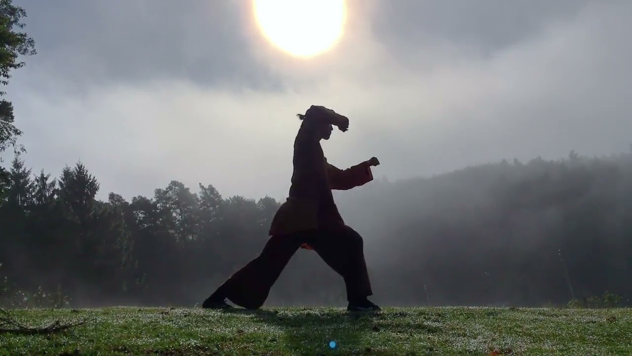 Luohan Hu Shen Chui- Arahant's Hammer for Body. I learned this complex from this video. You can too.