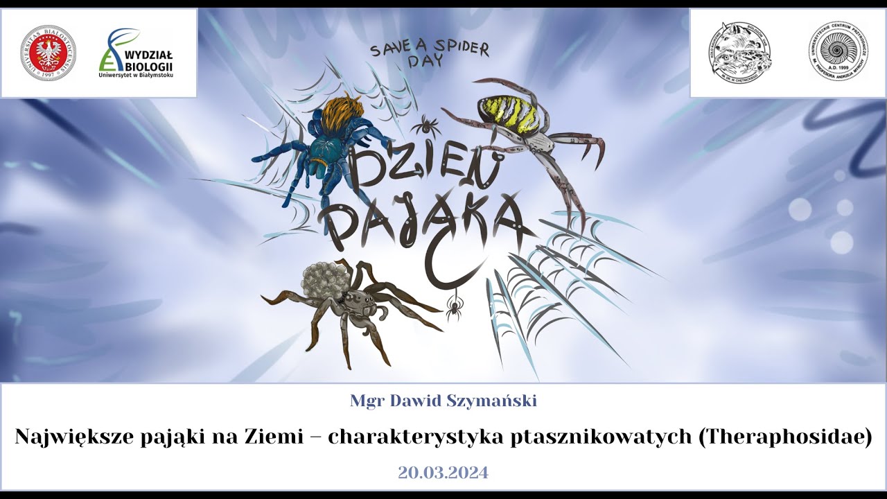 Dzień Pająka #5: Największe pająki na Ziemi - charakterystyka ptasznikowatych (Theraphosidae)