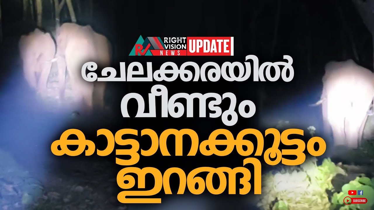 NEWS UPDATE | ചേലക്കരയിൽ വീണ്ടും കാട്ടാനക്കൂട്ടം ഇറങ്ങി | RIGHT VISION NEWS