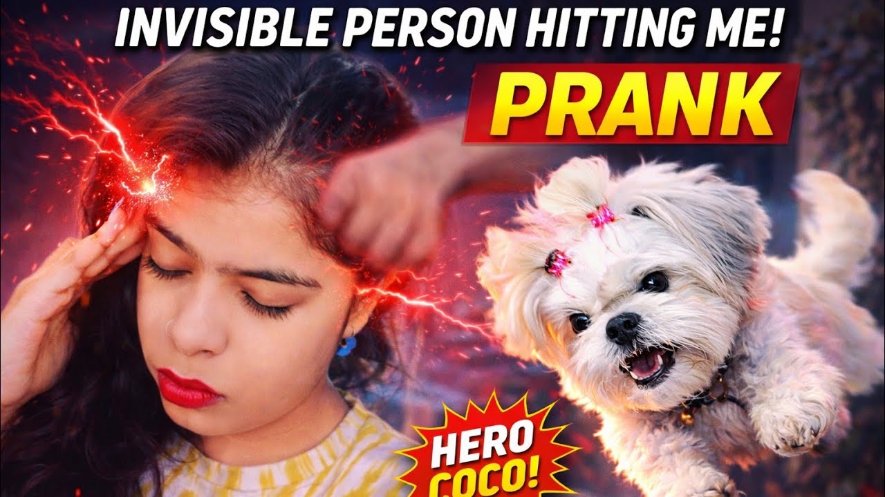 Invisible person prank on Coco😂|| InvisiblePrank#FunnyVideo#PrankVideo#YouTube #ComedyVideo#youtuber