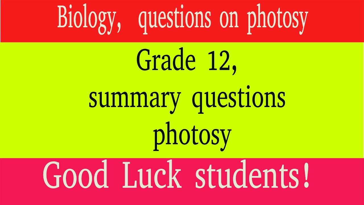Biology Grade 12 summary questions photosy