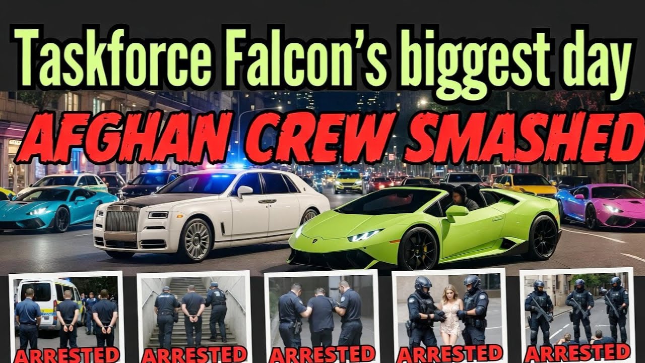 The $12 Million Takedown: Inside Sydney’s Most Expensive Raid