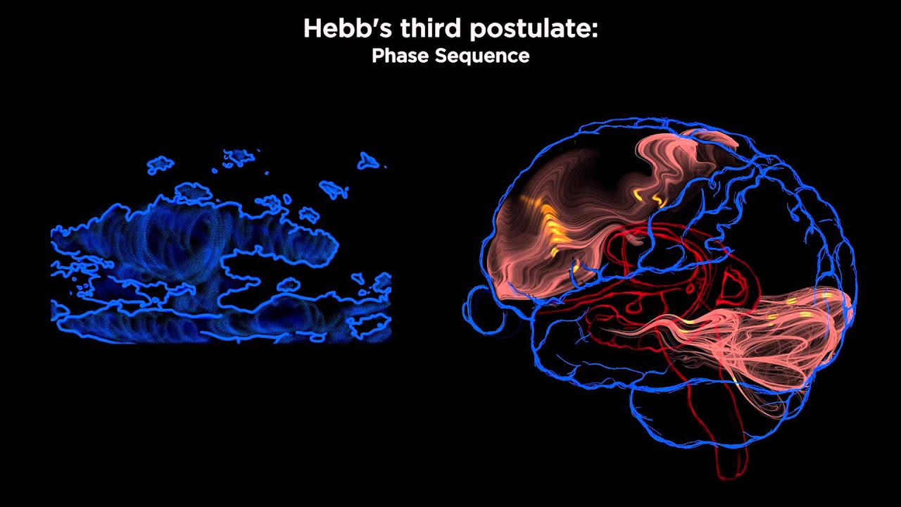 Hebb's Three Postulates: from Brain to Soma