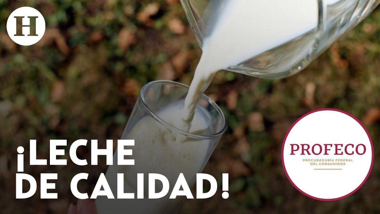 ¡Son las mejores! Estás son las marcas de leche aprobadas por la Profeco