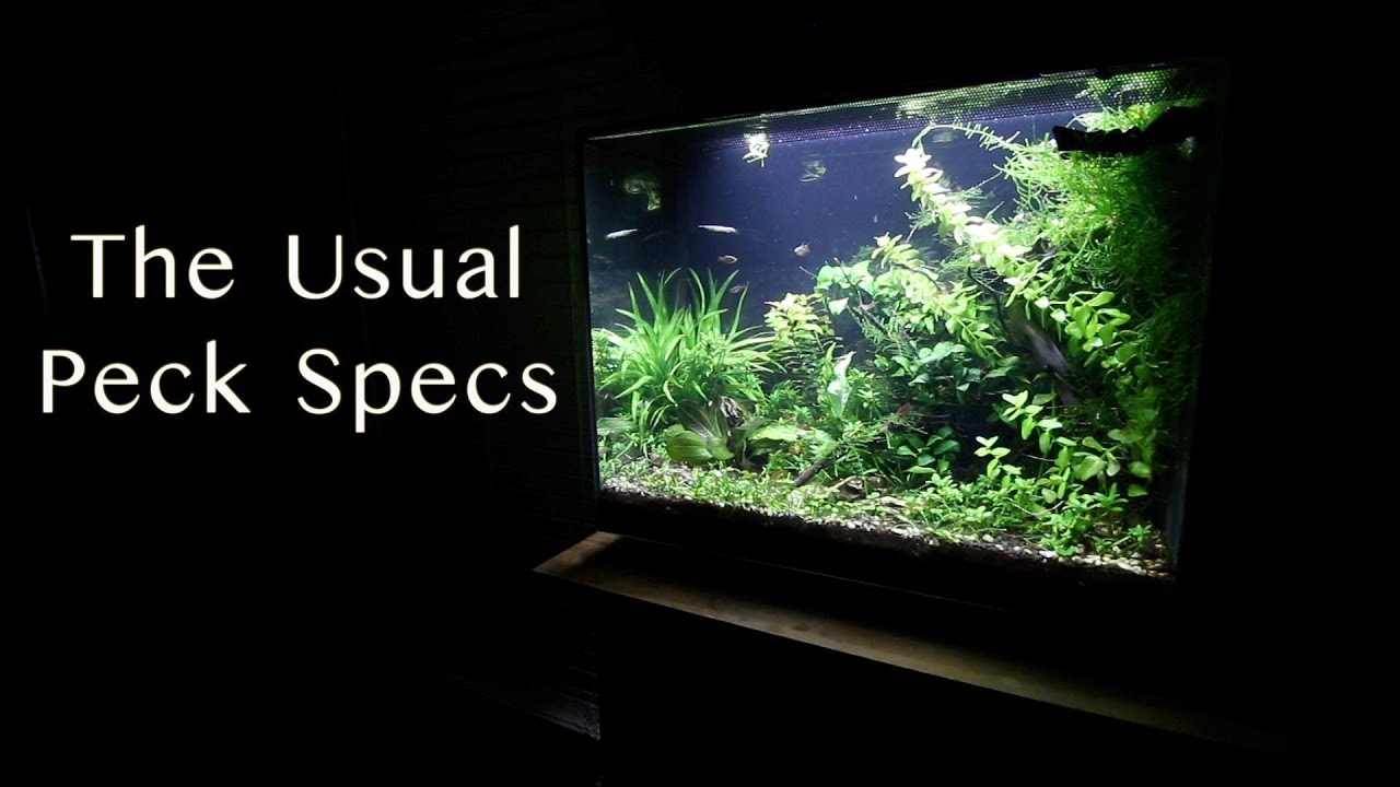 Fluval Spec Updates