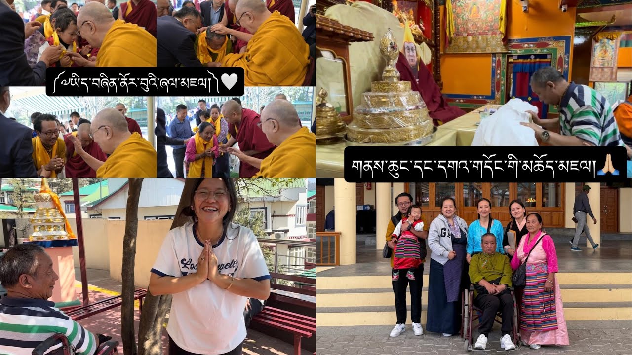 Blessings from His Holiness🙏🏼|| Grateful for moments like this|| A Day to Remember🤍 #tibetanvlogger 