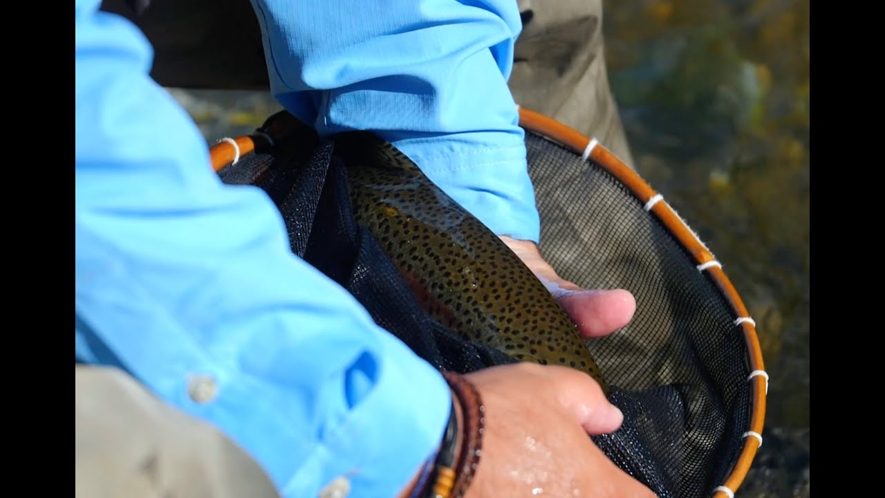 Piacere Tenkara 02s07e - Il posto del cuore