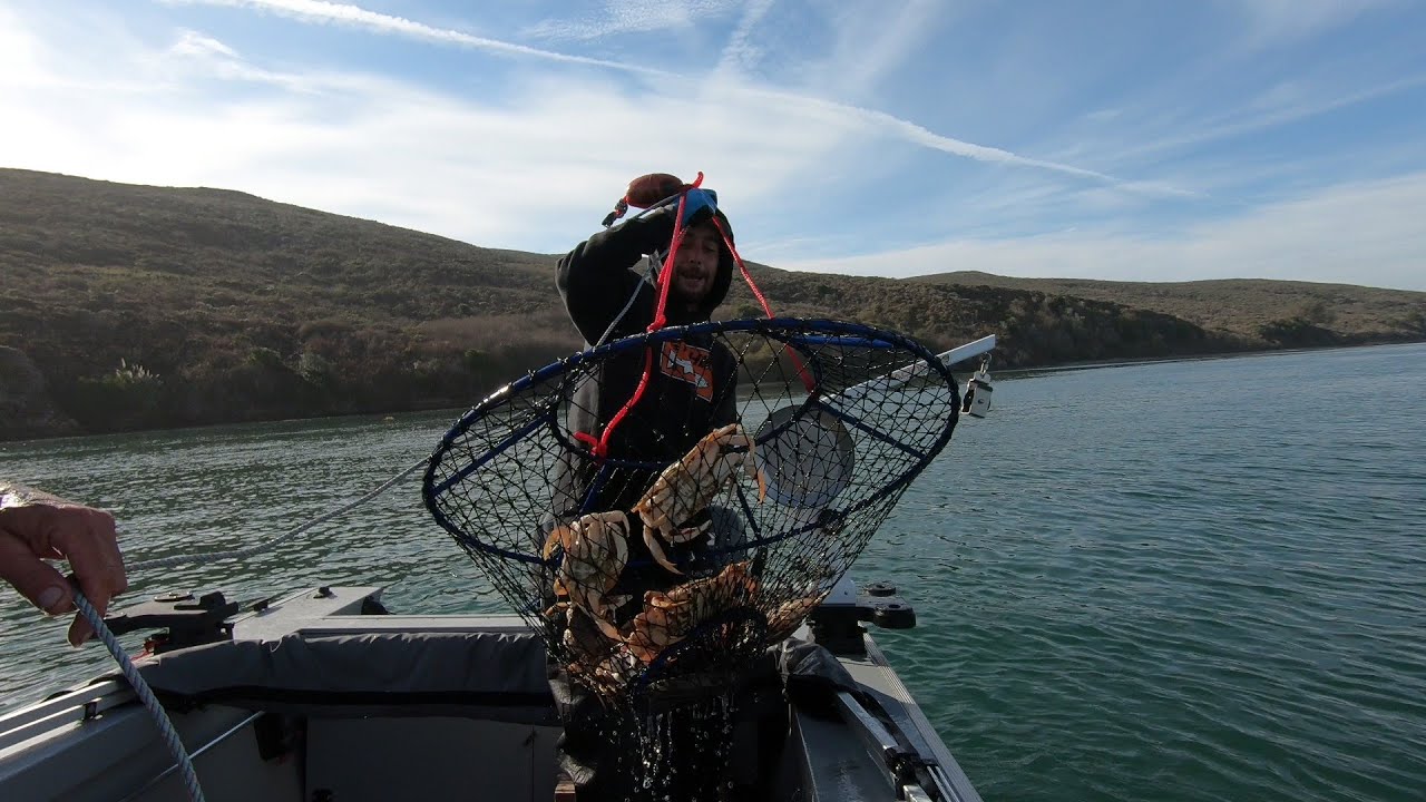 DUNGENESS CRAB & GOOD TIMES!!!! Tomales bay crabbing 2024!!