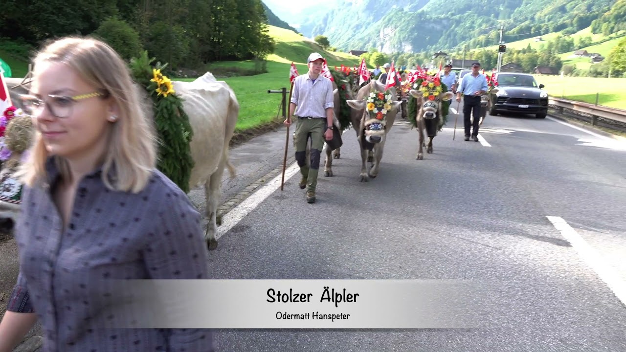 Alpabzug Rankhof - Buochs 2021