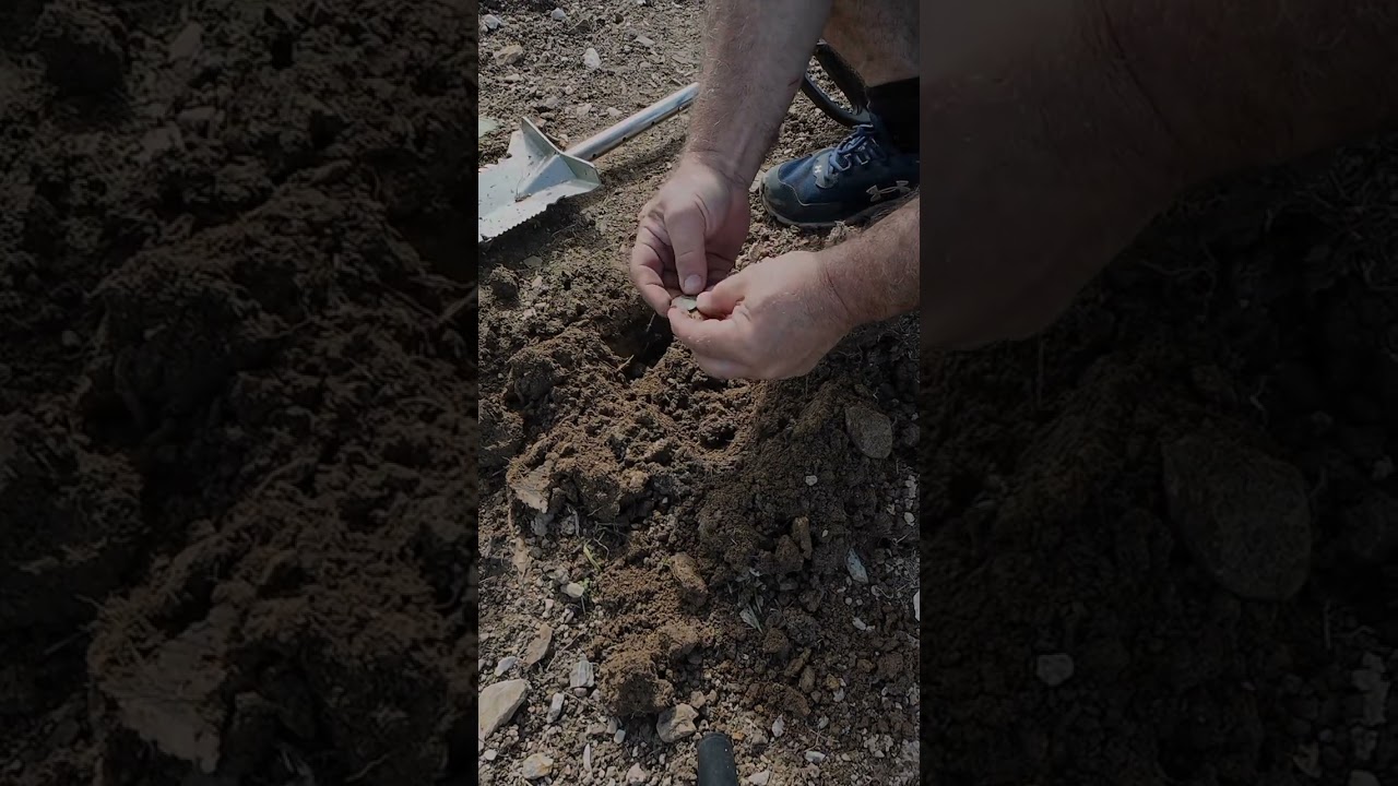 Metal detecting Button Find CScope 6mx 