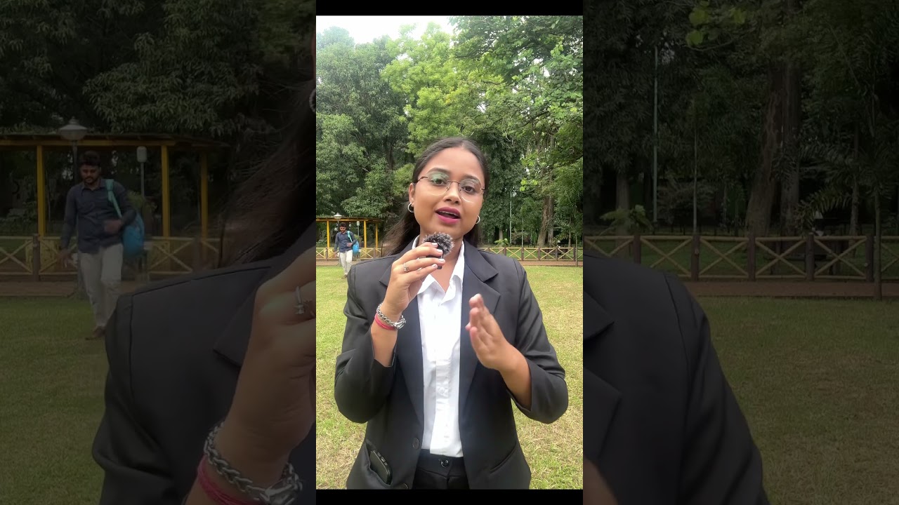 Free Lawyer from Court?