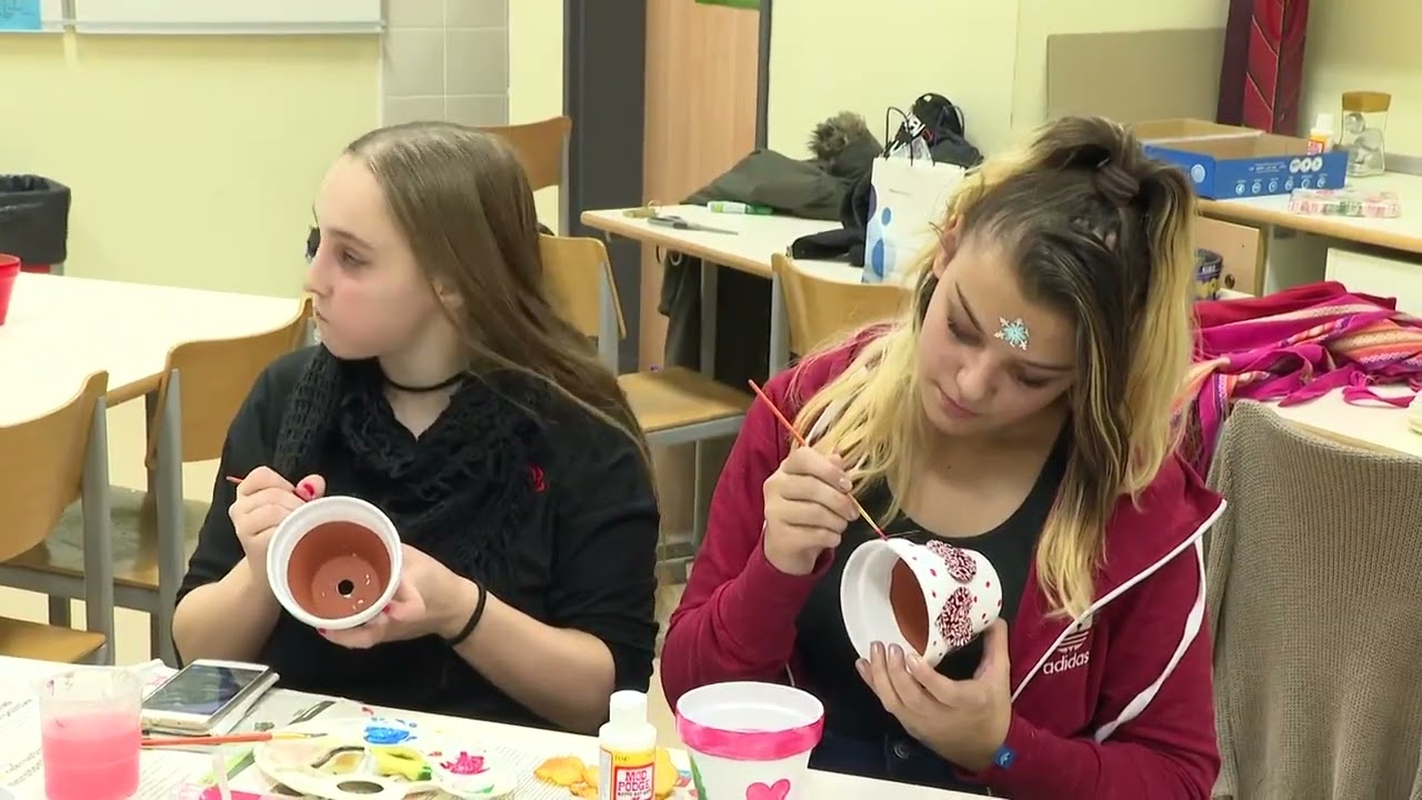 Srednja ekonomska šola in gimnazija Maribor - predstavitev šole