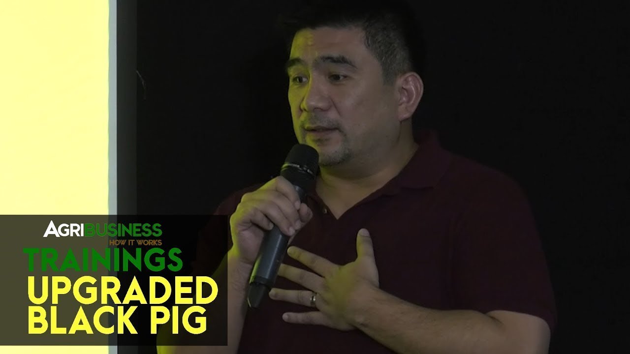 Black Pig Farming Seminar:  Upgraded Black Pig Proper Breeding and Farm Management