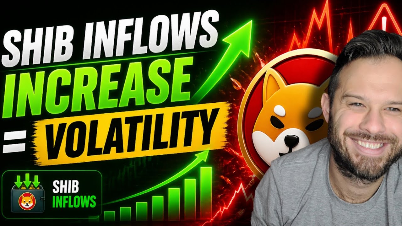 Shiba Inu Coin | SHIB демонстрирует повышенную волатильность на фоне роста притока на биржи