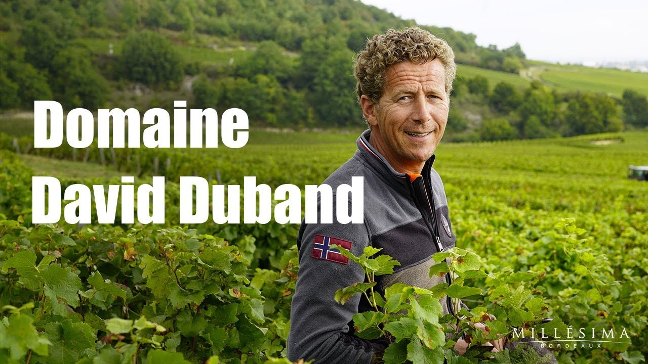 DOMAINE DAVID DUBAND - BOURGOGNE - MILLESIMA