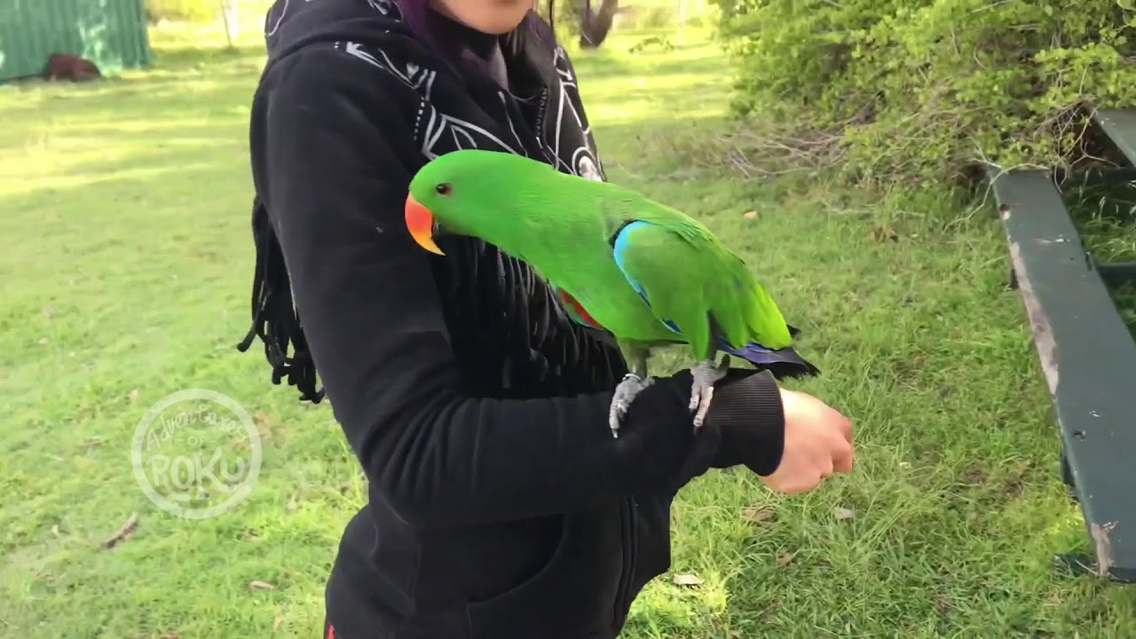 Приключения на ферме на свежем воздухе 1_4