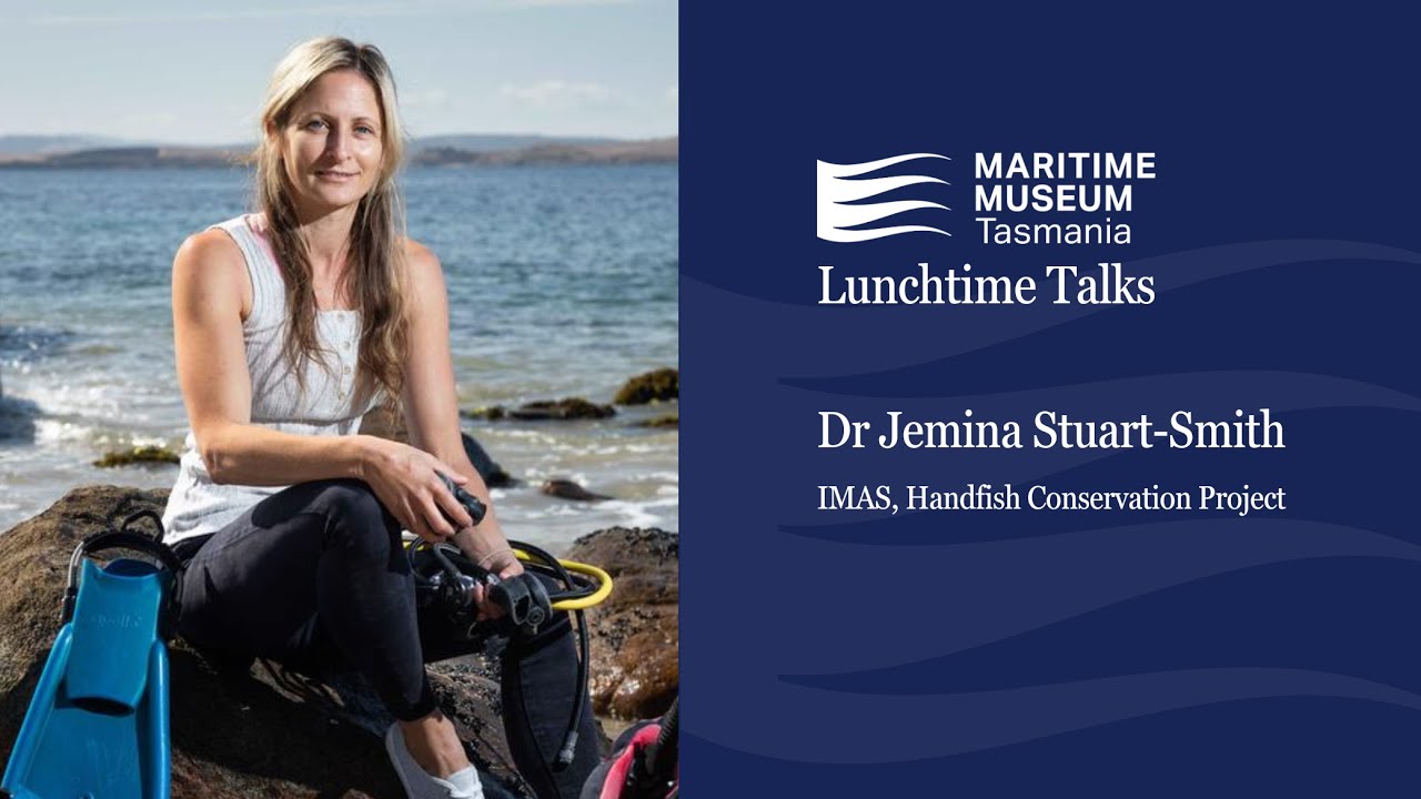 Lunchtime Talks Series: Dr Jemina Stuart-Smith, IMAS, Red Handfish Conservation Project